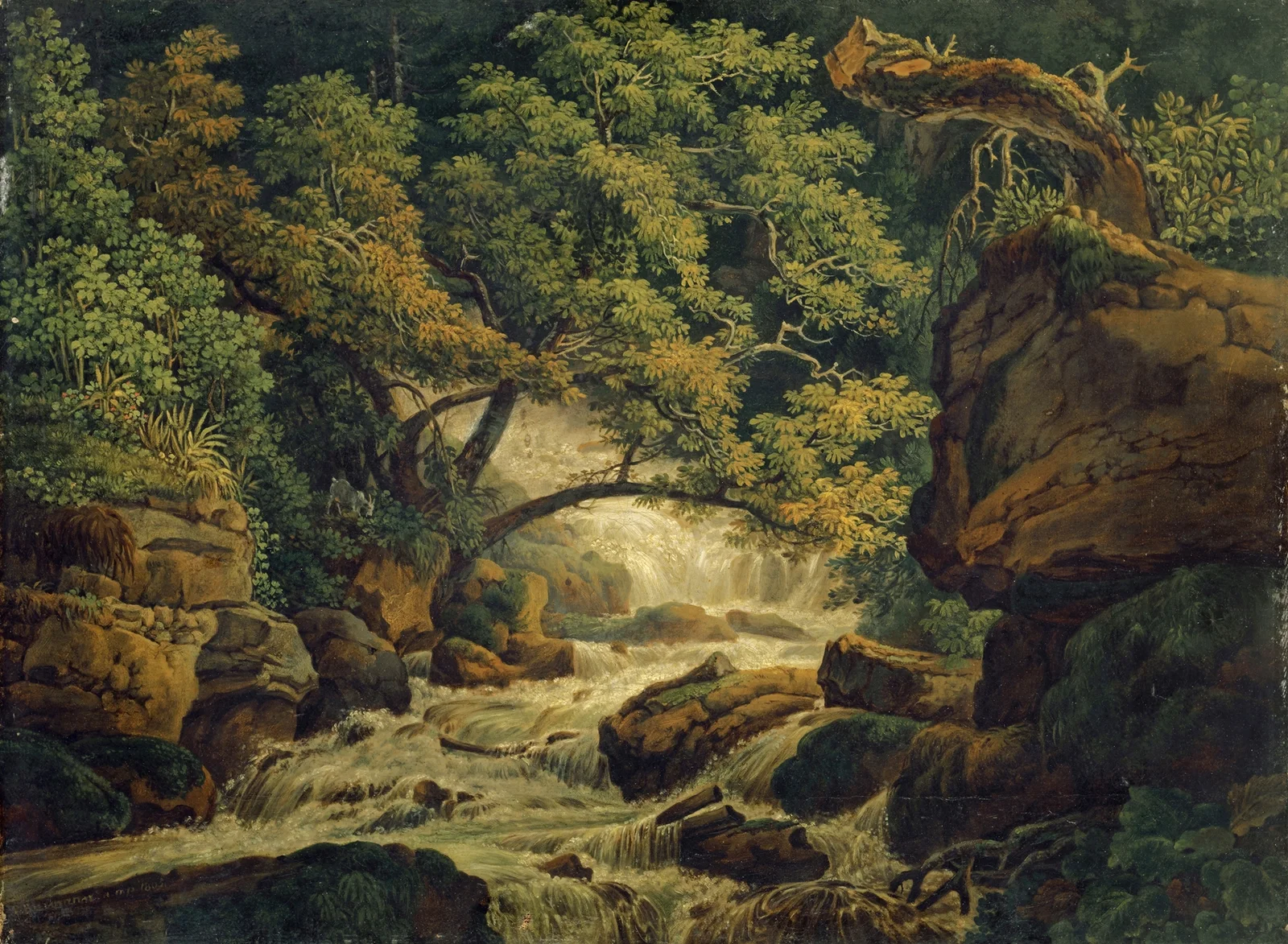 Waterfall Chesant (Waterfall of the Birs) av Peter Birmann