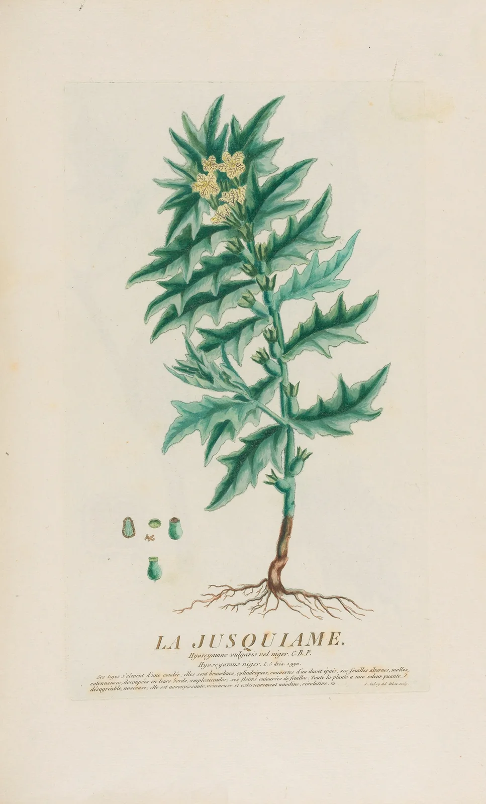 La Jusquiame av Pierre Philippe Alyon
