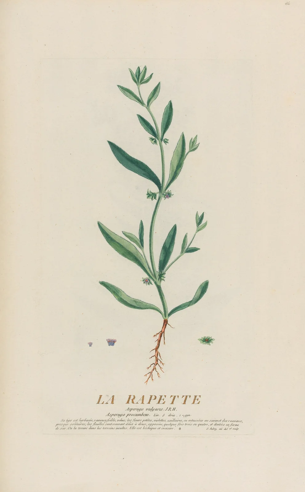 La Rapette av Pierre Philippe Alyon