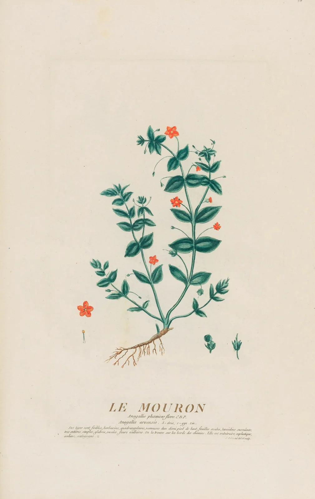 Le Mouron av Pierre Philippe Alyon