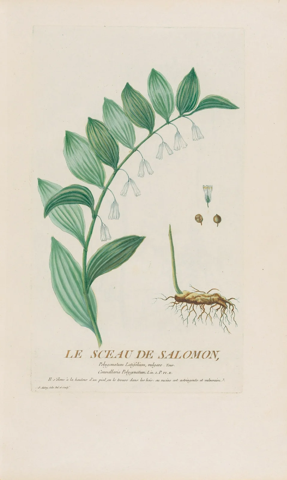 Le Sceau De Salomon av Pierre Philippe Alyon