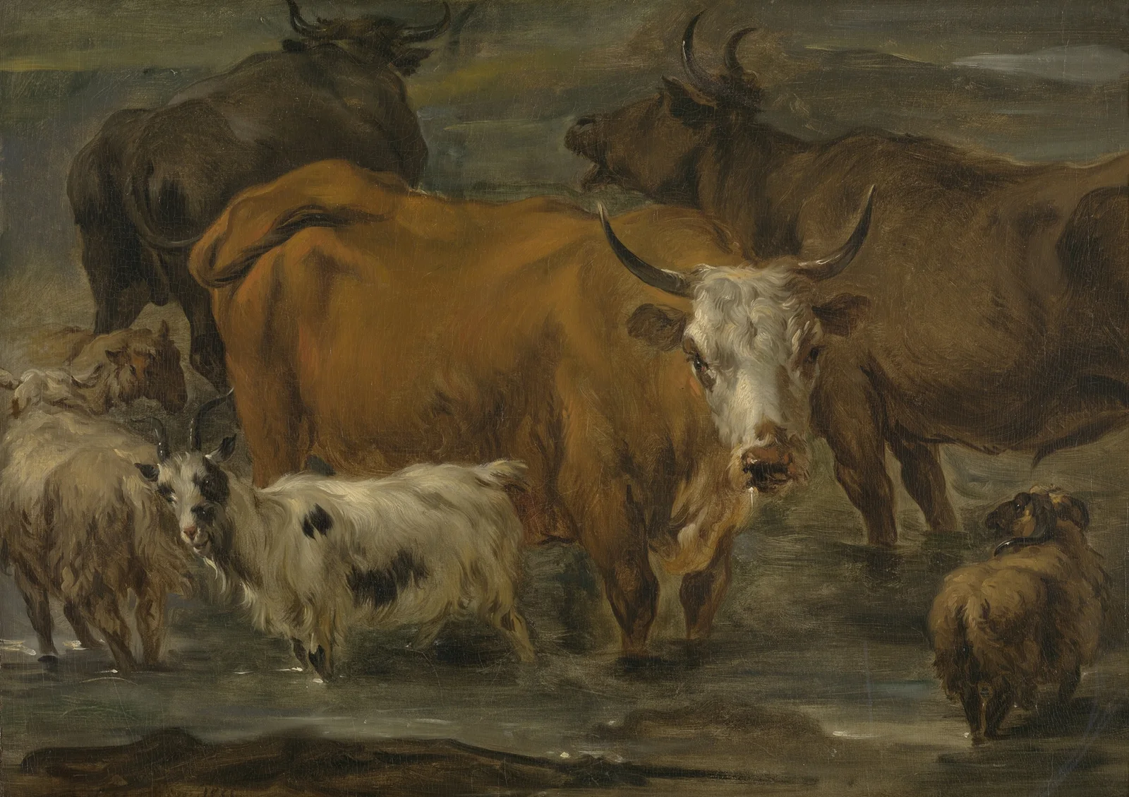 Animal Study av Nicolaes Pietersz. Berchem