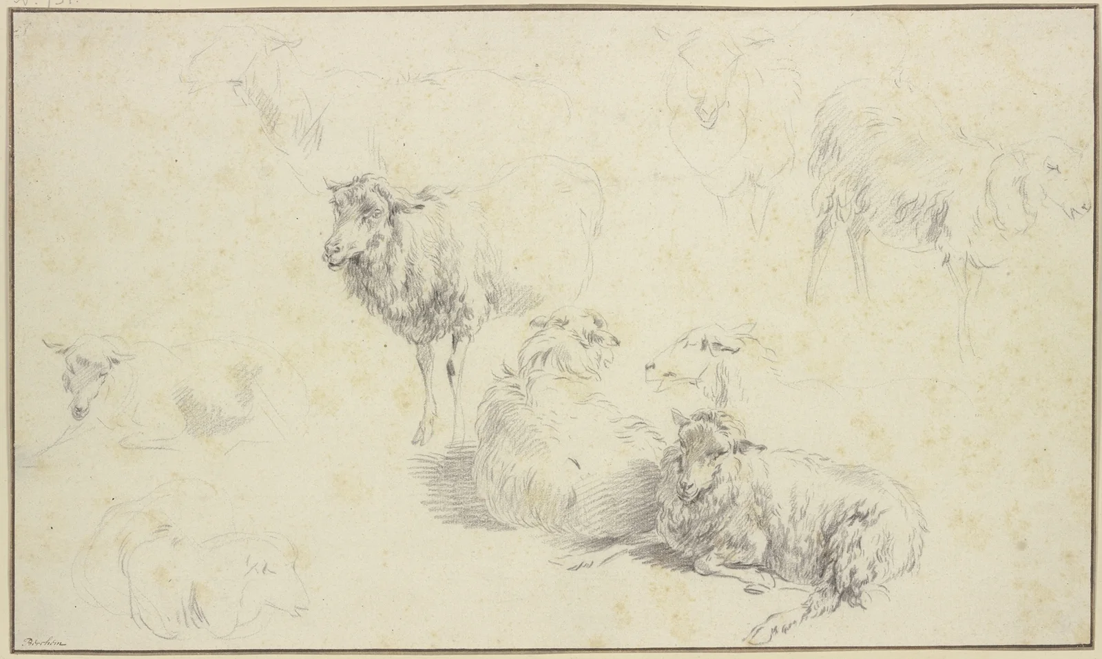 Nine sheep av Nicolaes Pietersz. Berchem