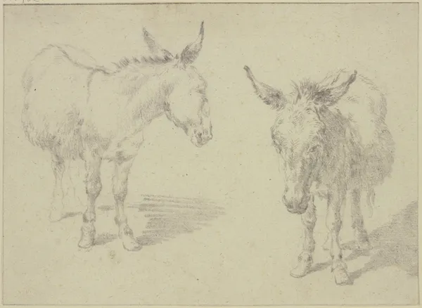 Two donkeys av Nicolaes Pietersz. Berchem