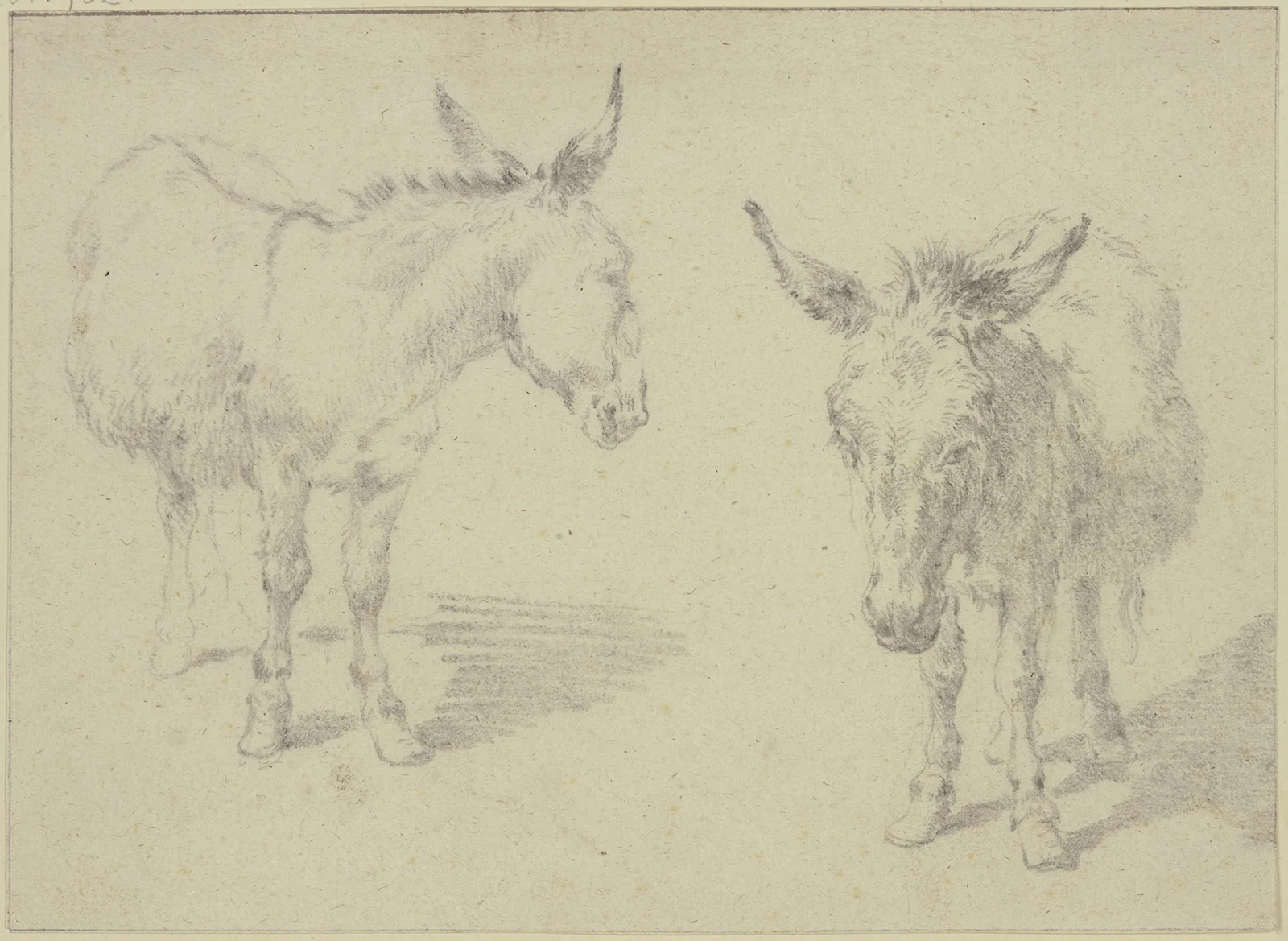 Two donkeys av Nicolaes Pietersz. Berchem