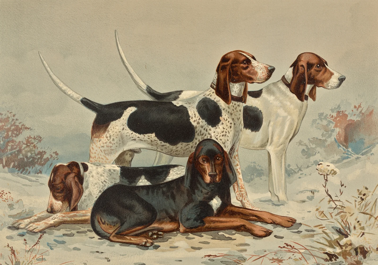 Three Foxhounds with Coonhound av Alexander Pope Jr.