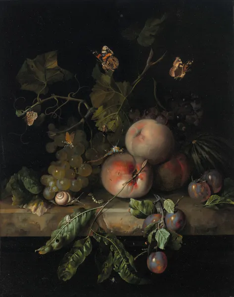 Peaches, grapes and plums with a dragonfly, snail, caterpillar, butterfly and other insects on a stone ledge av Rachel Ruysch