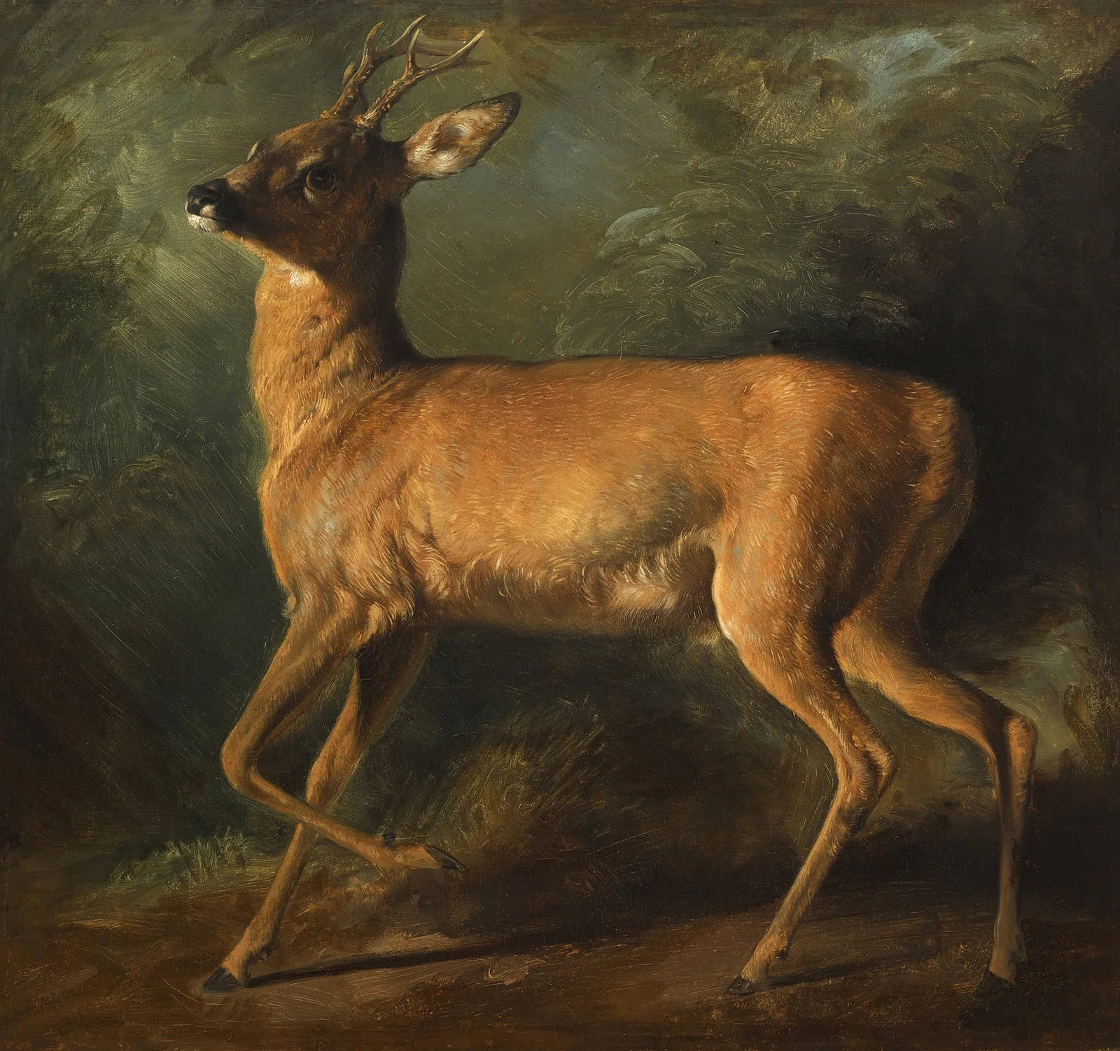 A roebuck av Raden Saleh