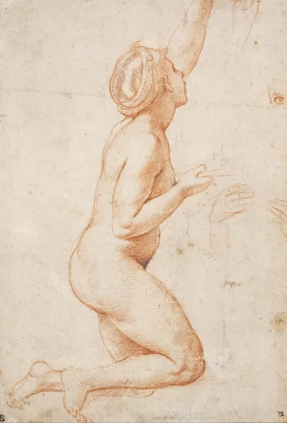 A Kneeling Nude Woman with her Left Arm Raised av Raphael
