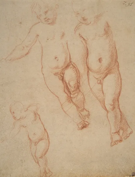 Studies of the Christ Child av Raphael
