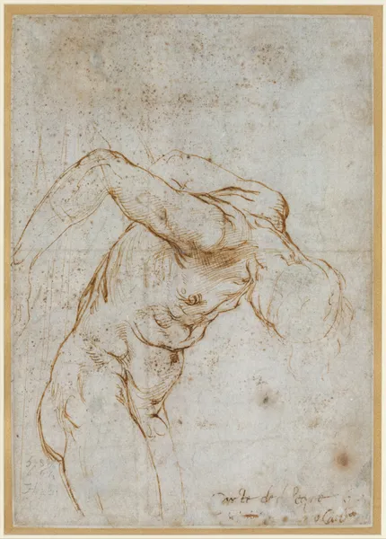 Study of a Nude Male Figure (ca. 1506–7) av Raphael