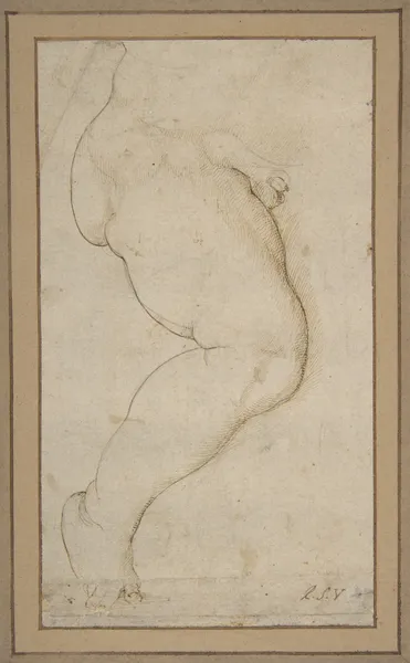 Study of the Right Leg of a Male Child av Raphael