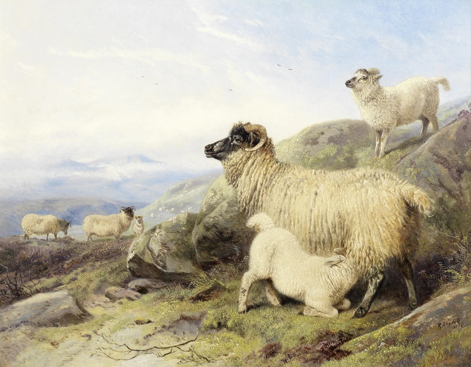 Sheep On A Mountainside av Richard Ansdell