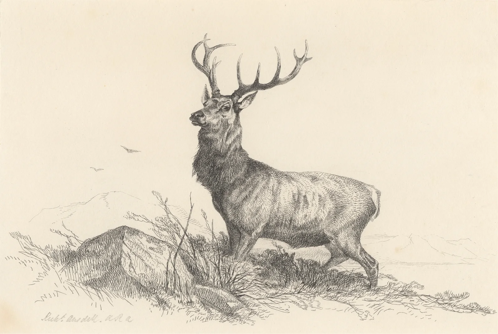 The Sentinel av Richard Ansdell