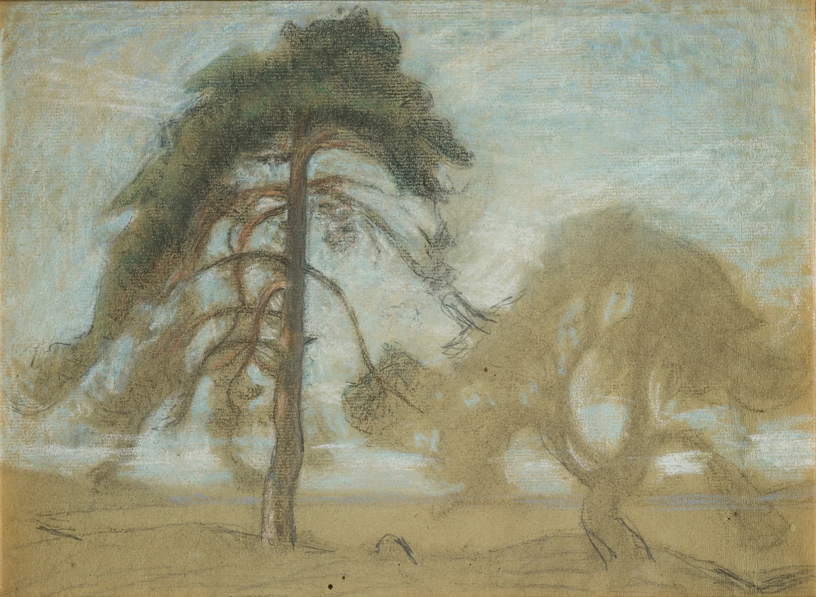 Tallar i Tyresö av Richard Bergh