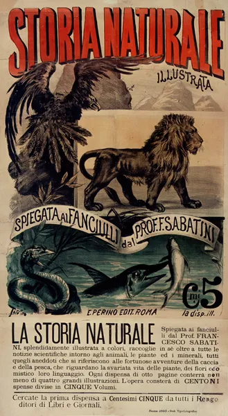 Storia naturale illustrata av Ottavio Rodella Tavio