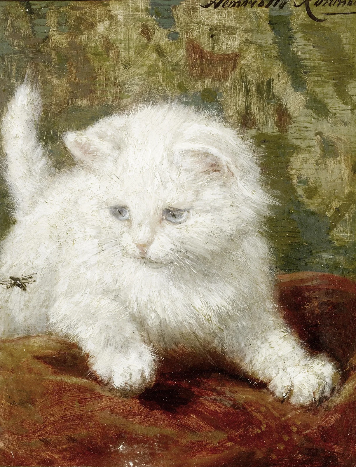Curiosity av Henriëtte Ronner-Knip