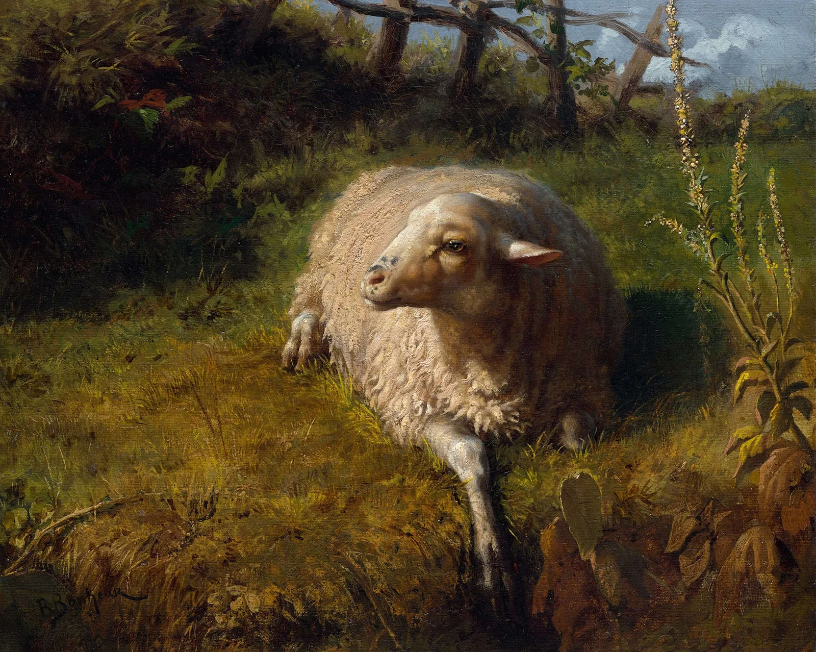A Sheep at Rest av Rosa Bonheur