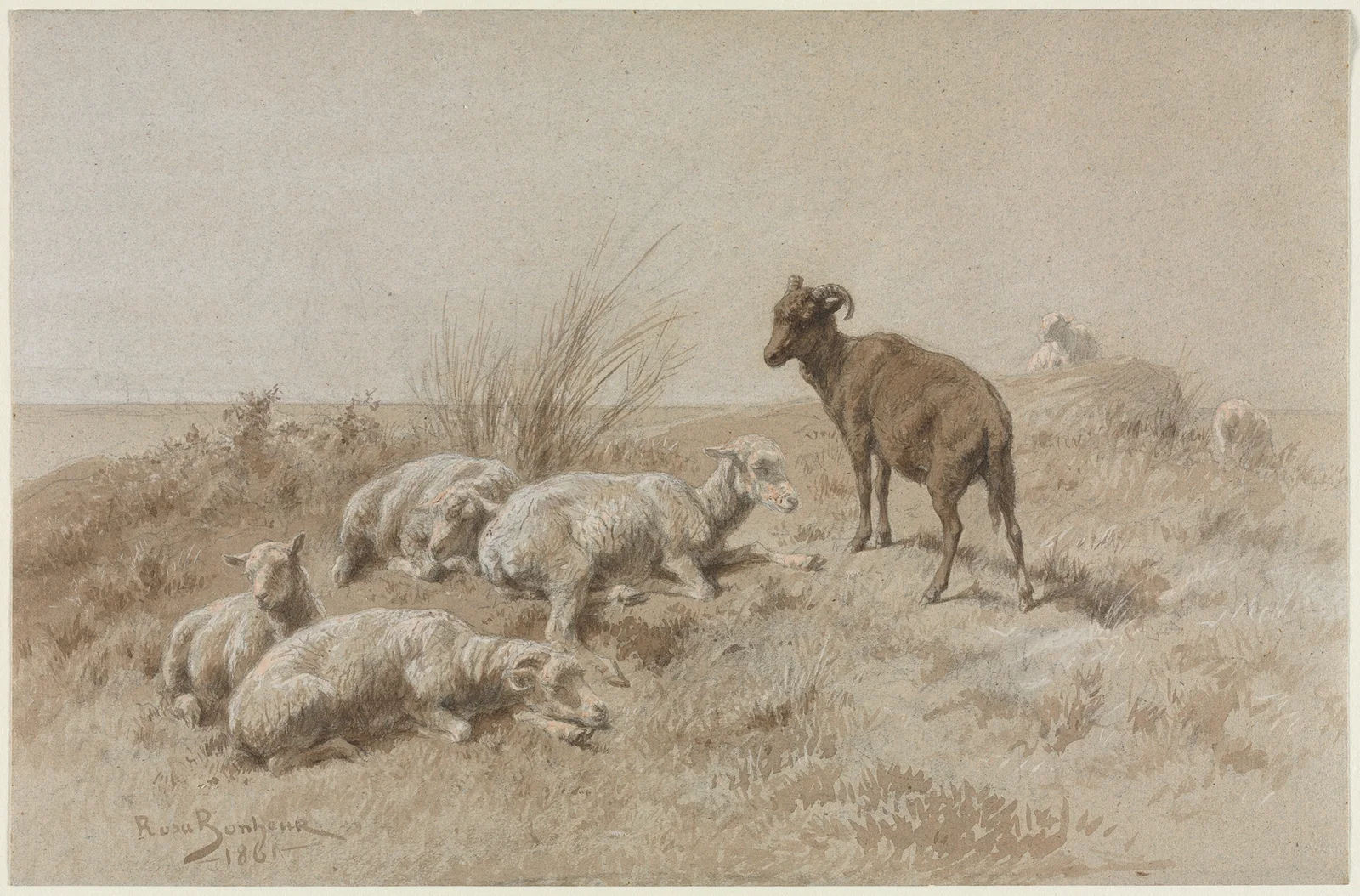 Sheep av Rosa Bonheur