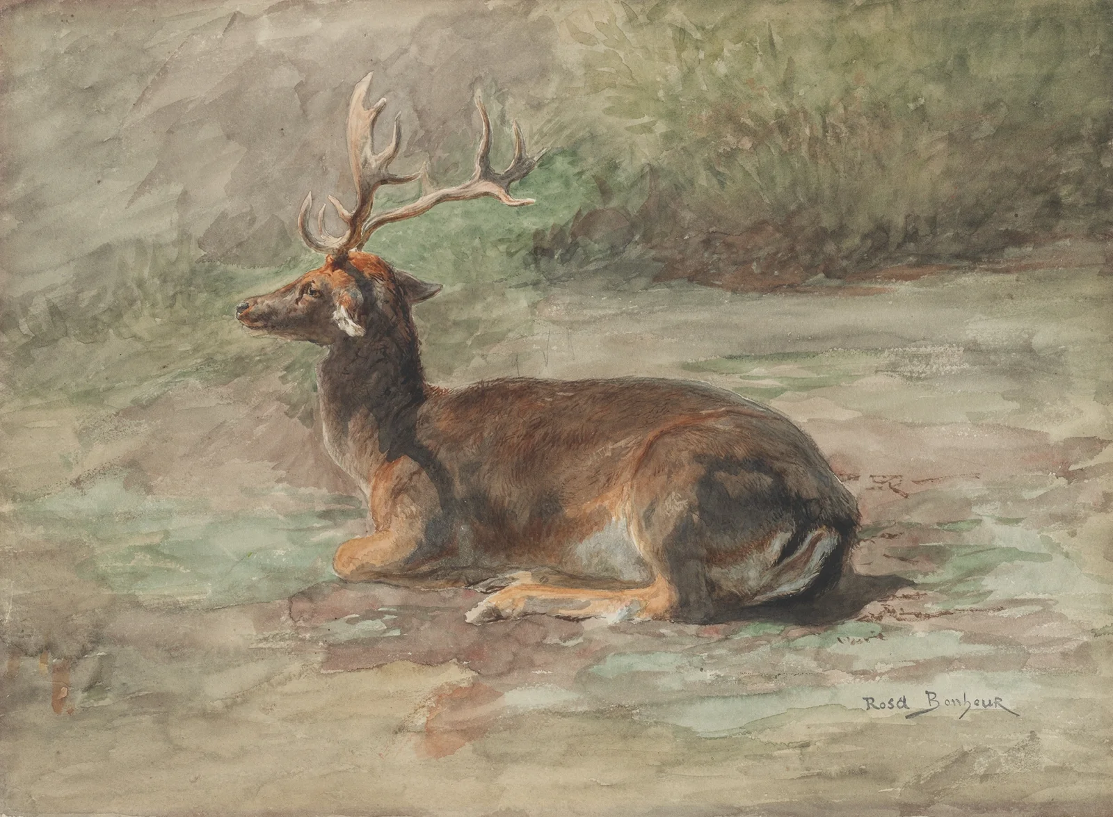 Stag Lying Down av Rosa Bonheur