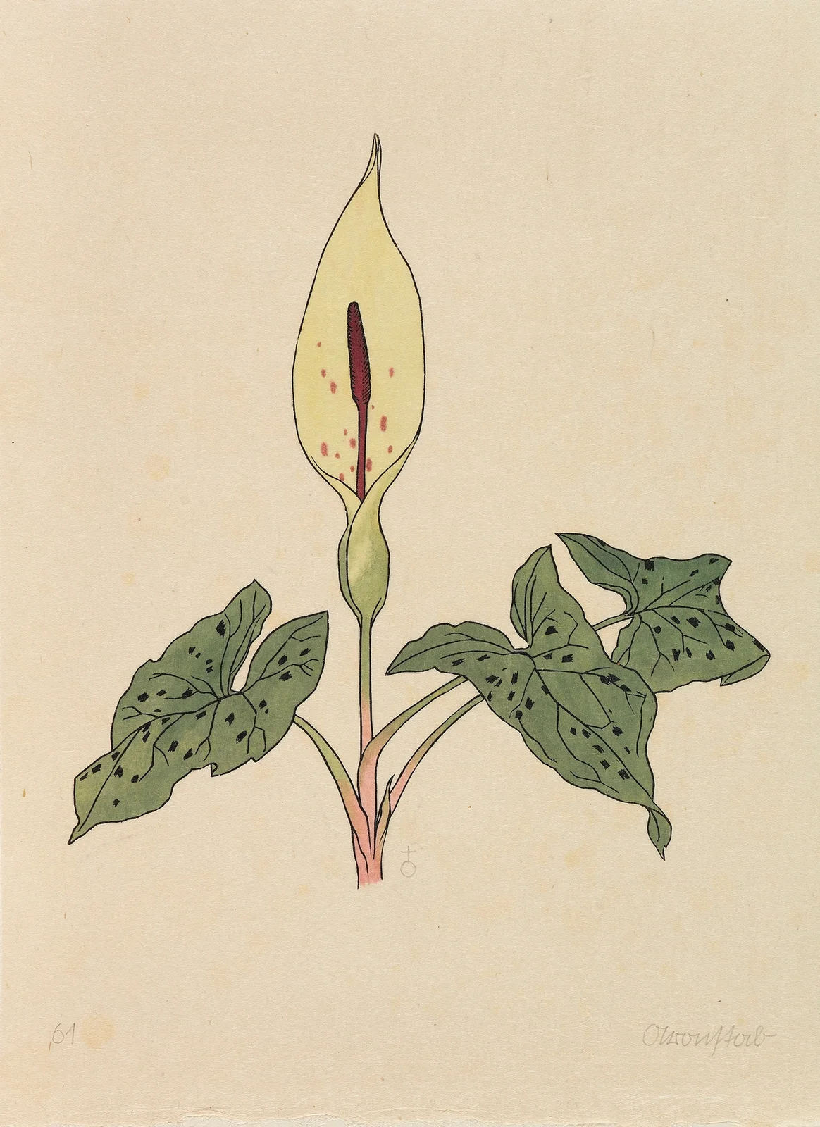 Blumenbuch av Rudolf Koch