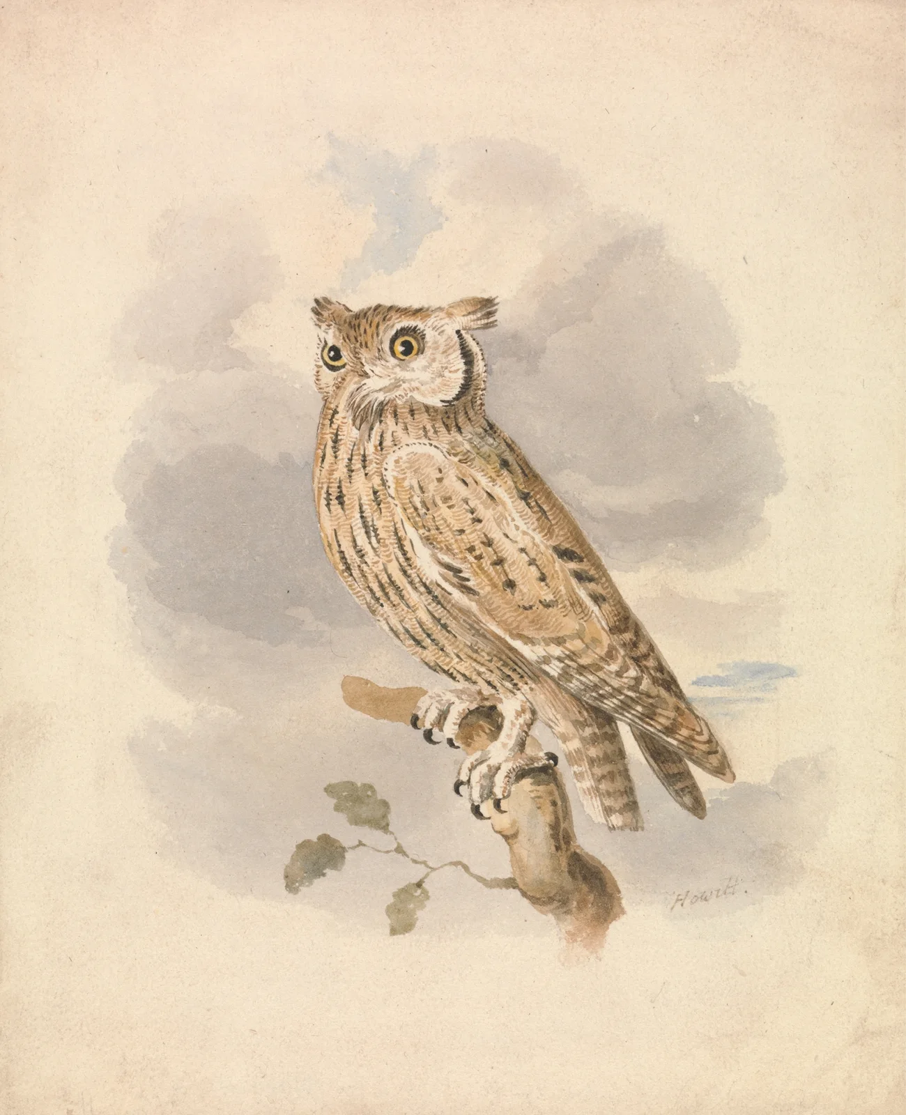 Scops Owl av Samuel Howitt