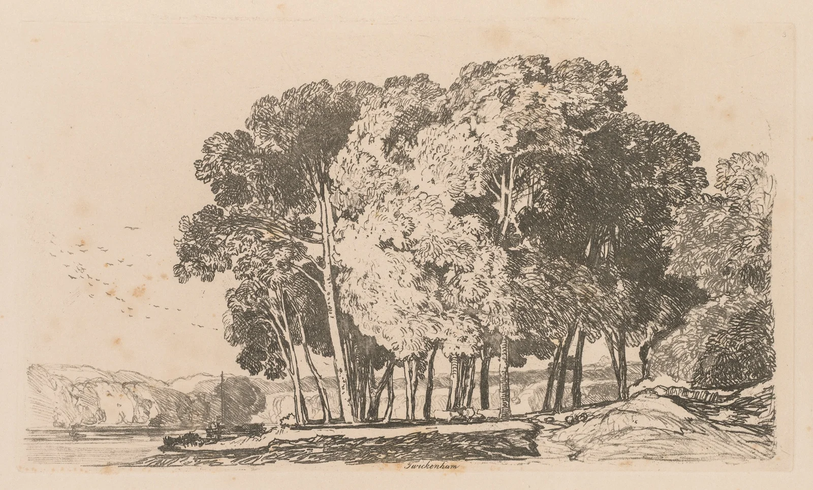 Trees near Twickenham av John Sell Cotman
