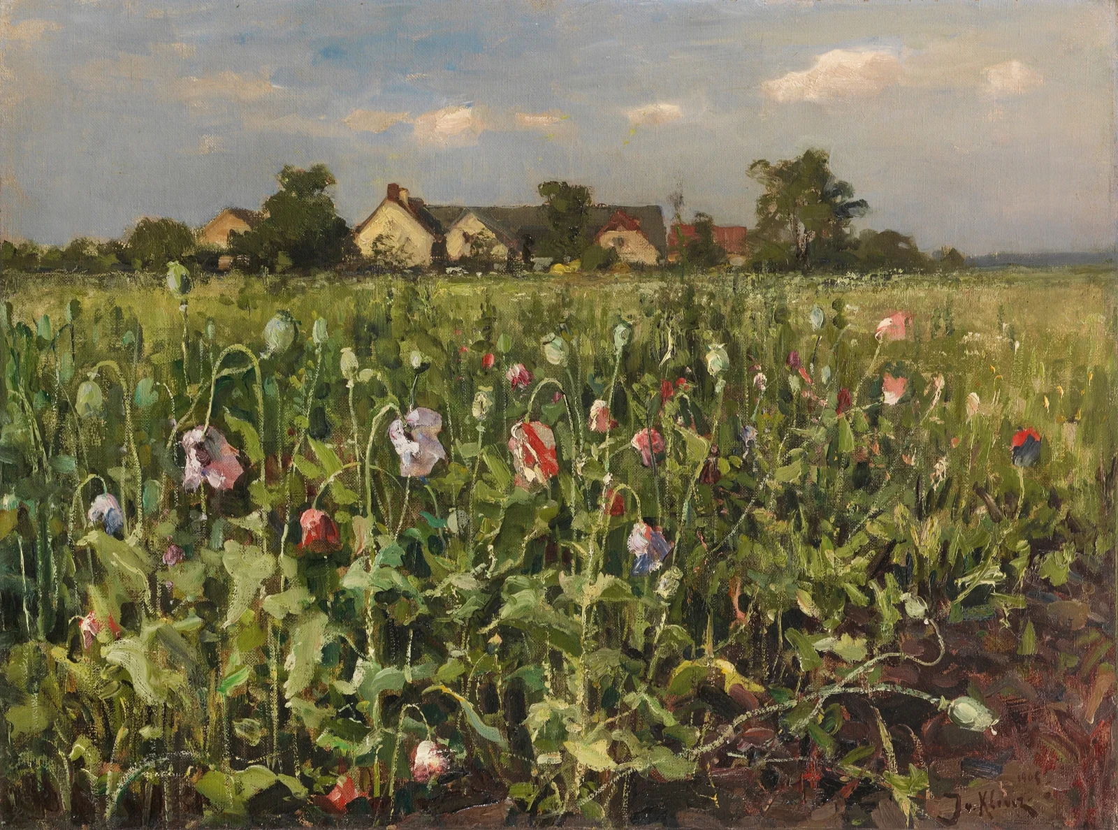 Blühender Mohn av Julius Sergius Klever