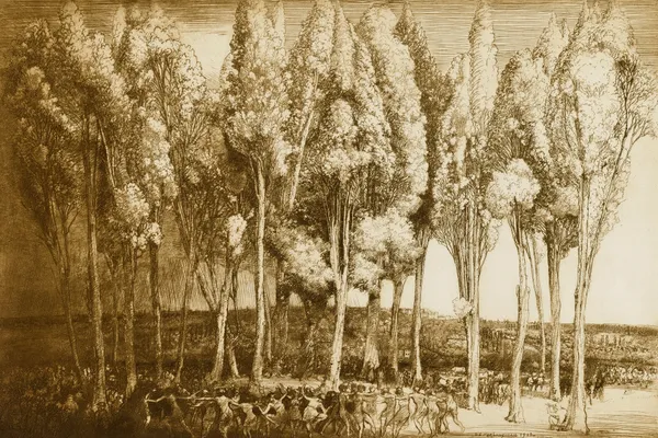 The Dance of Spring av Donald Shaw MacLaughlan