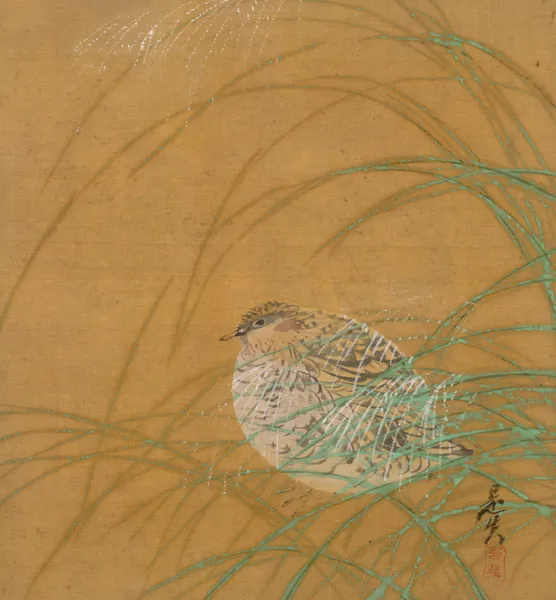 Quail in Grass av Shibata Zeshin