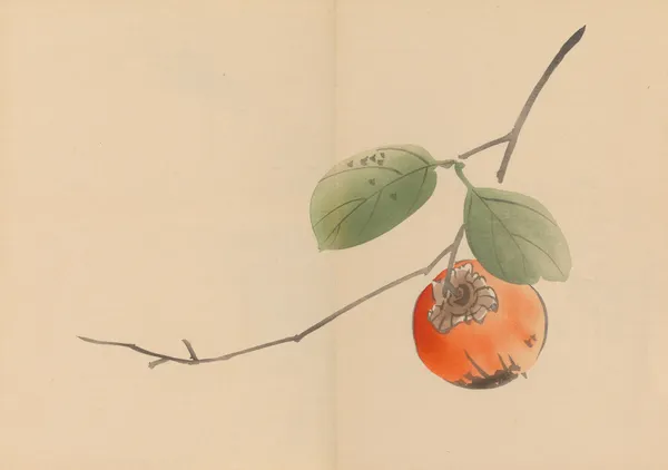Zeshin iboku tairyūkyo gafu, Pl.10 av Shibata Zeshin