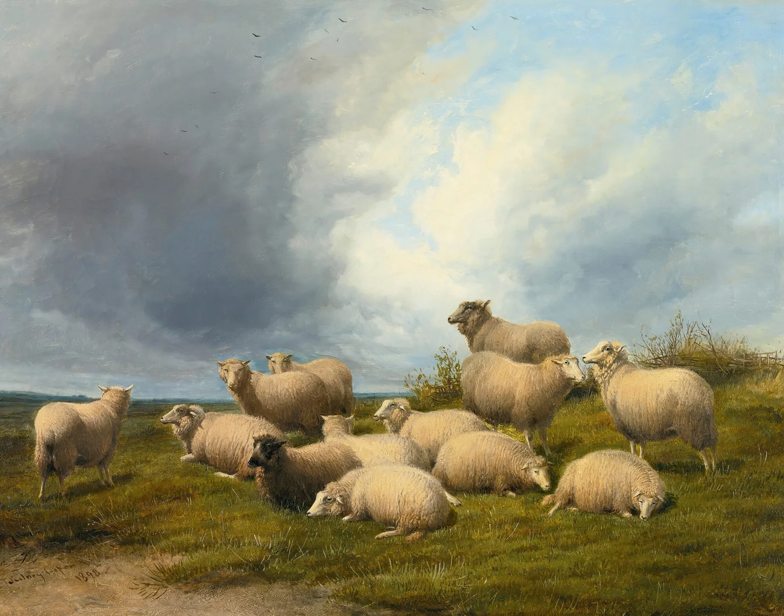 Sheep In A Pasture av Thomas Sidney Cooper