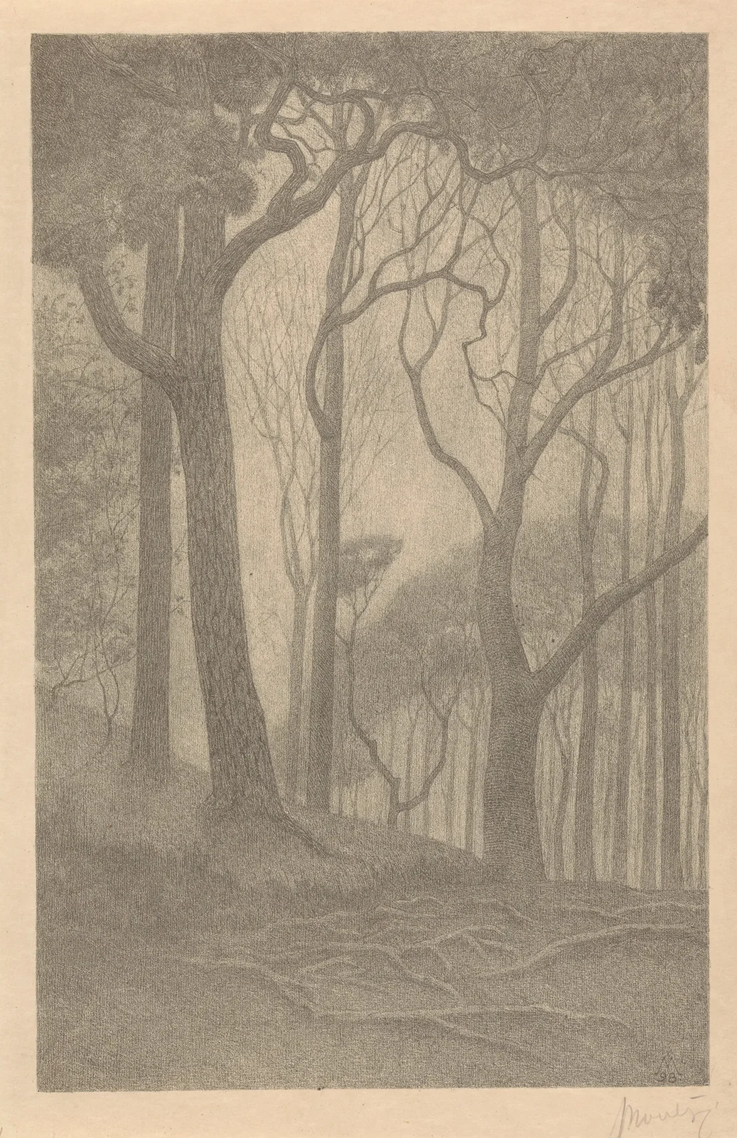 Bomen av Simon Moulijn