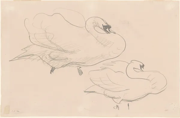 Studies of a Swan av John Singer Sargent