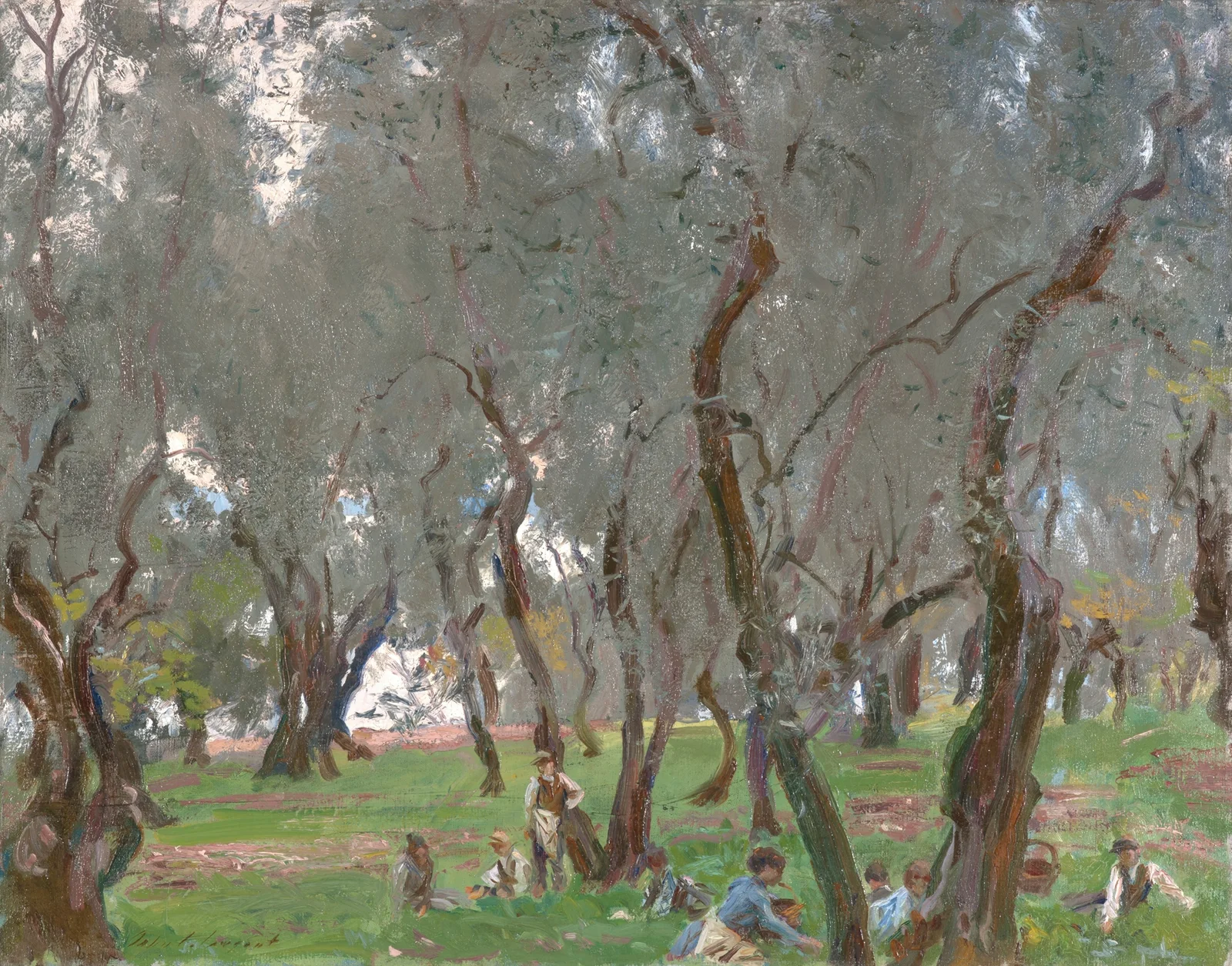 The Olive Grove av John Singer Sargent