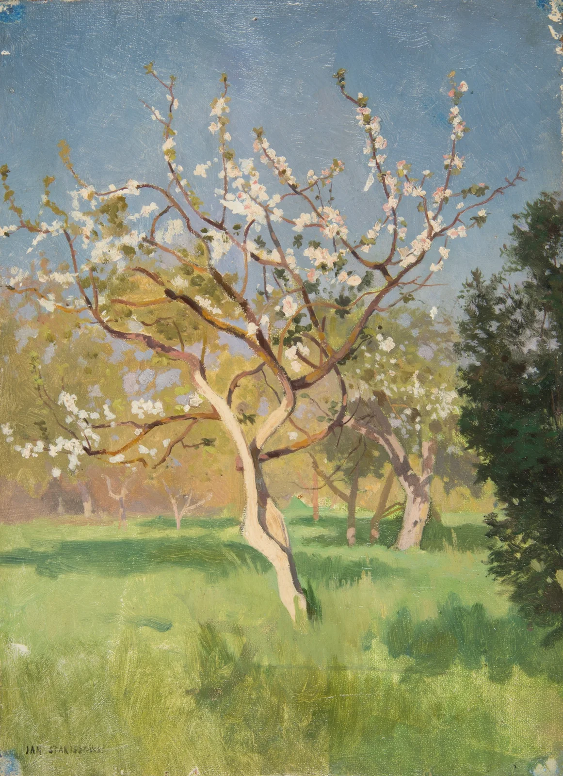 Apple-Tree in Blossom av Jan Stanisławski