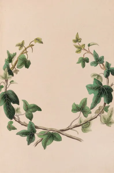 Wreath Of Ivy av John Stevens Henslow