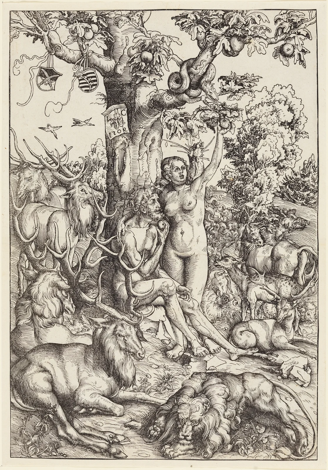 Der Sündenfall av Lucas Cranach the Elder