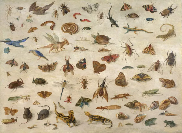 Insects, batrachians, shells and mouses av Jan Van Kessel The Elder