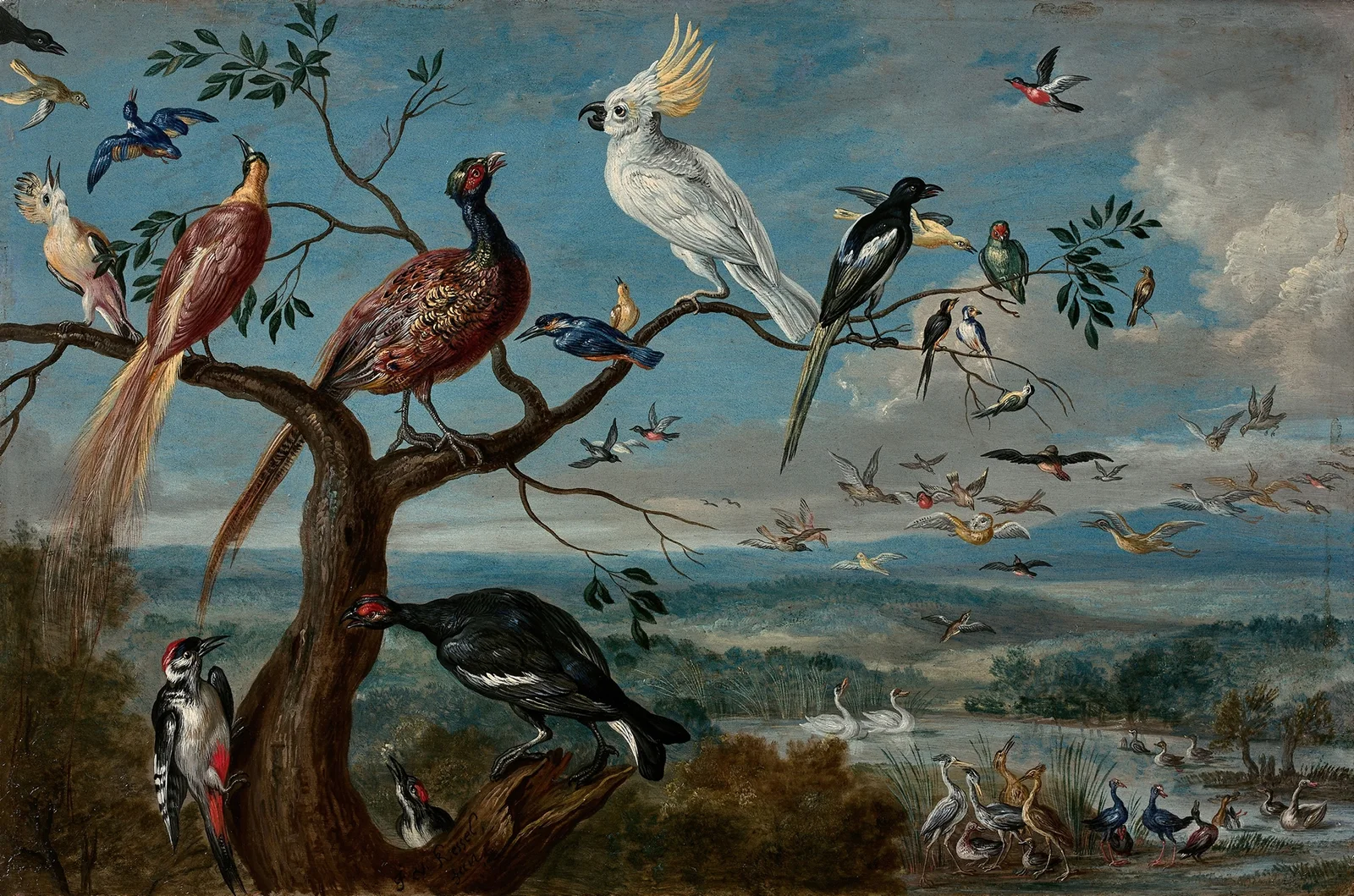 Le concert des oiseaux av Jan Van Kessel The Elder