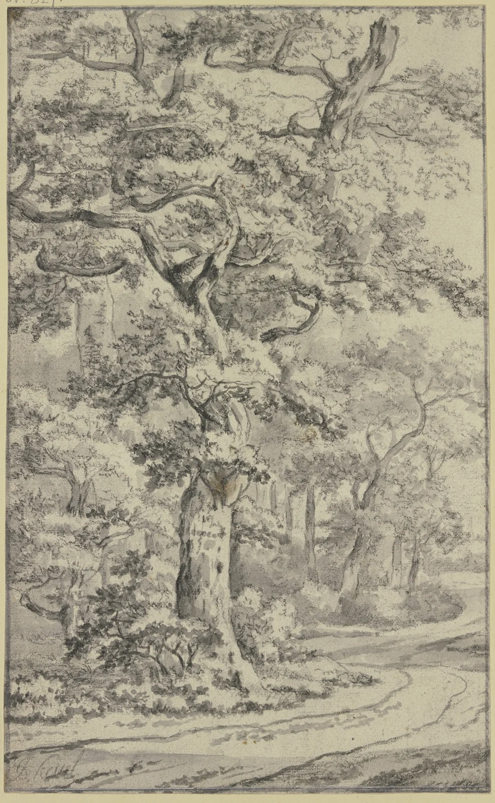Path next to oak trees av Jan Van Kessel The Elder