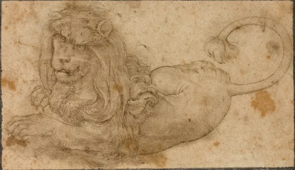 Study of a Lion av Lucas Cranach the Elder
