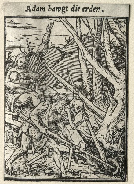 Adam Tilling the Ground av Hans Holbein The Younger