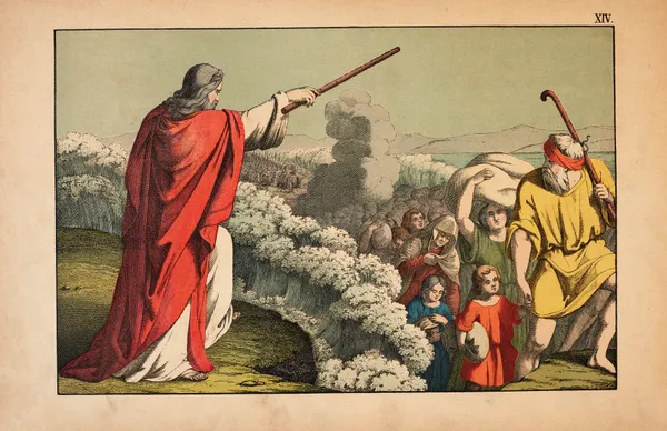The crossing of the Red Sea av Theodor Eckardt