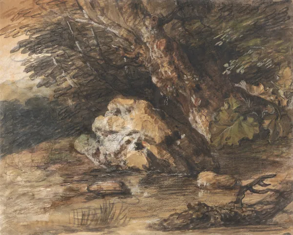 A Woodland Pool with Rocks and Plants av Thomas Gainsborough