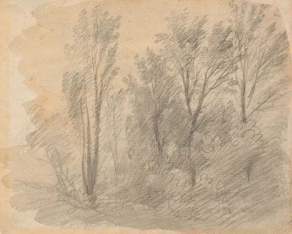 Study of Trees av Thomas Gainsborough