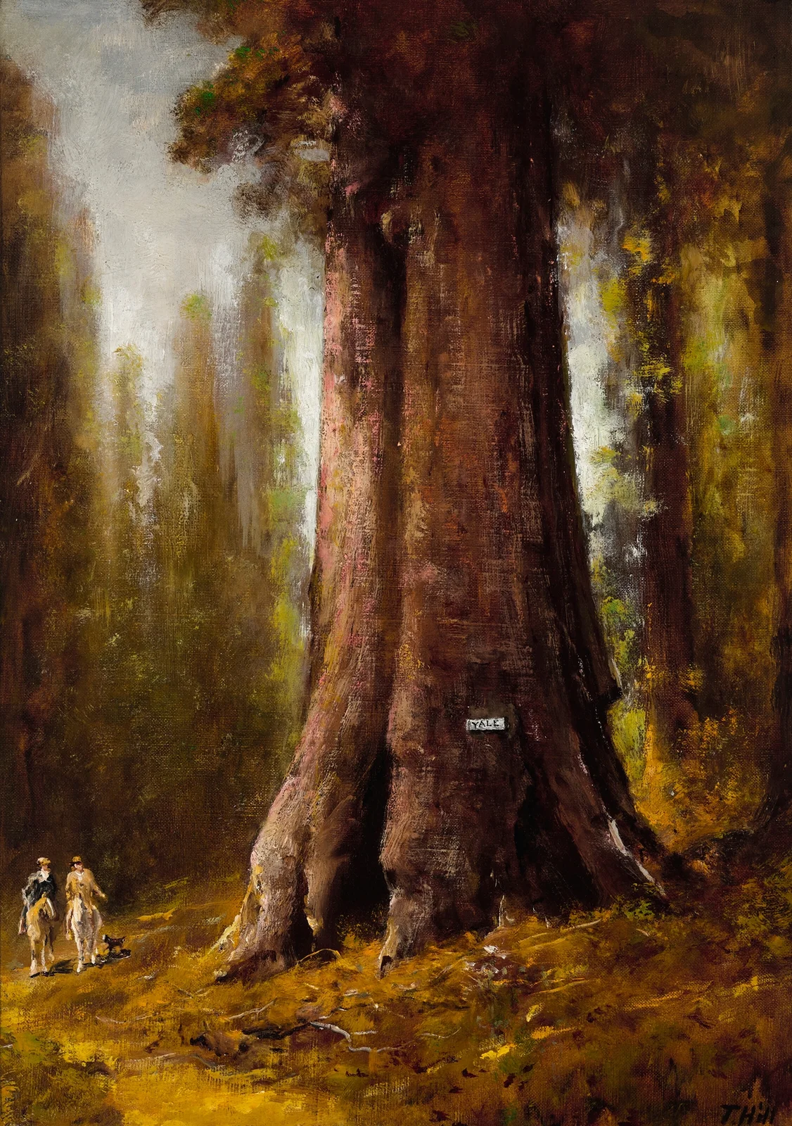 California Redwood Trees av Thomas Hill