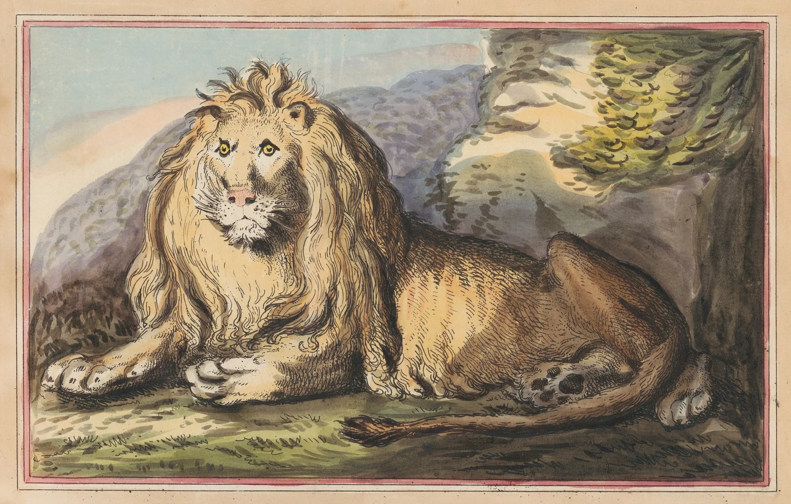 The Lion av Thomas Rowlandson