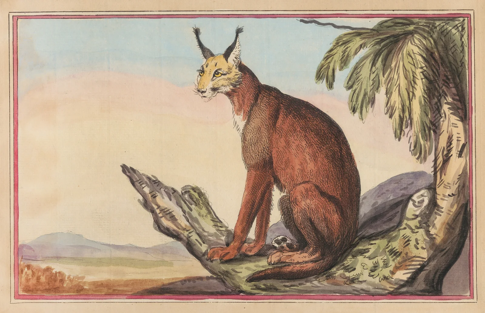 The Persian Lynx av Thomas Rowlandson