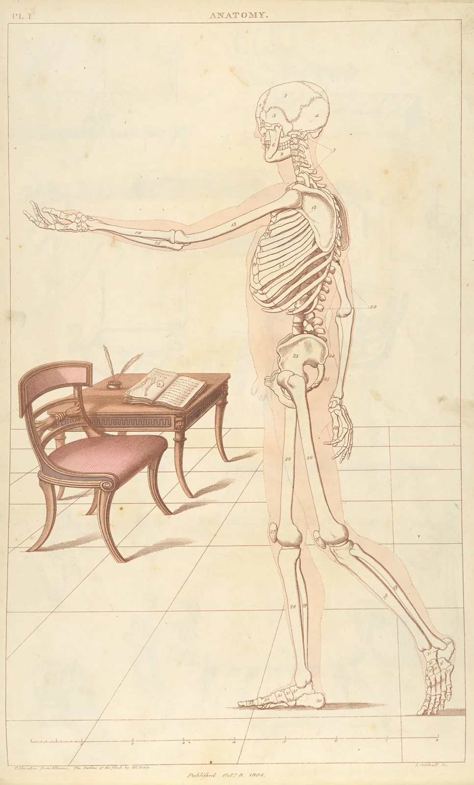 Anatomy av Thomas Sheraton